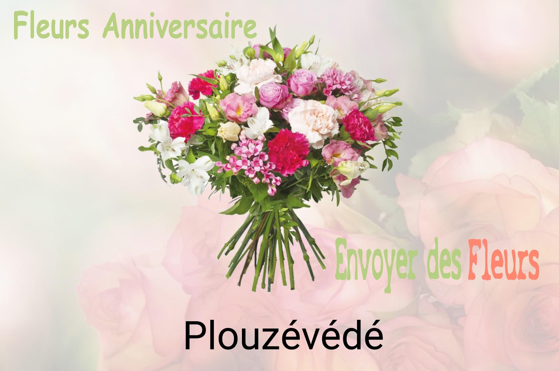 Bouquet de fleurs d’anniversaire livré à Plouzévédé