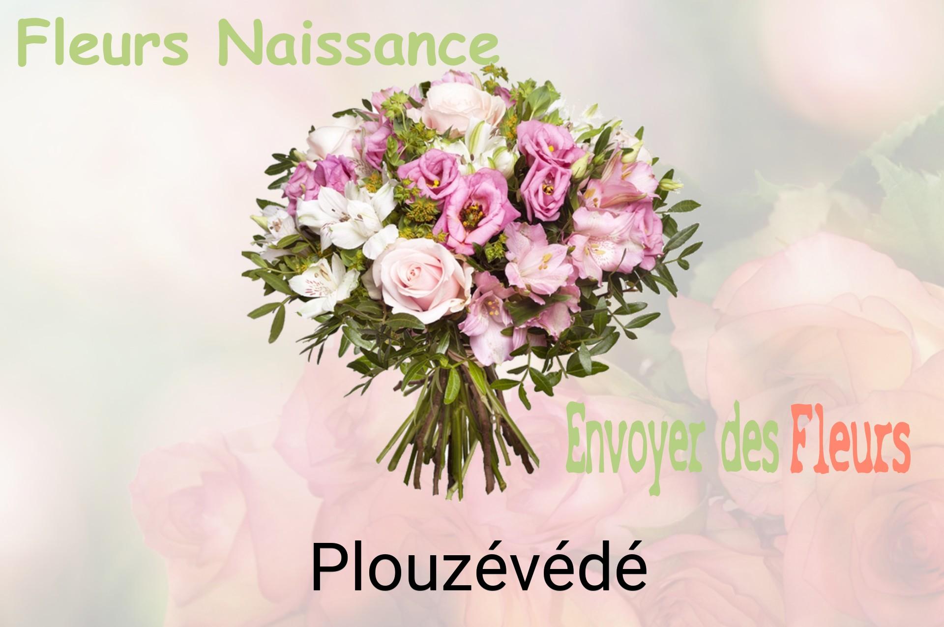 Bouquet de fleurs de naissance livré à Plouzévédé