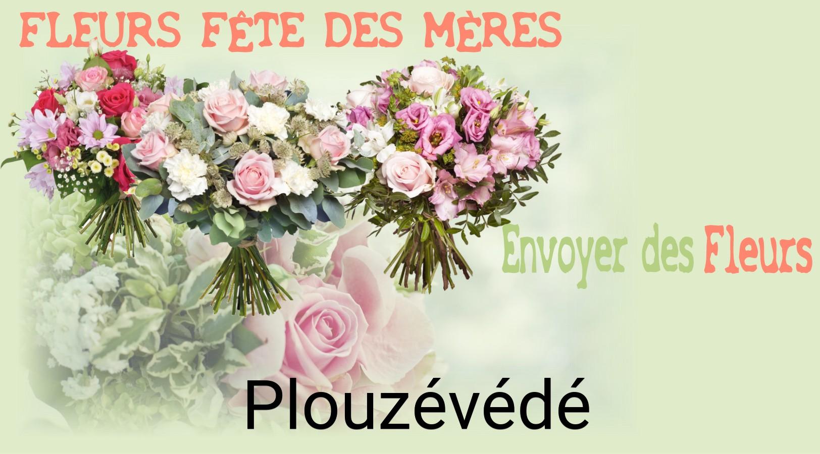 Bouquet de Fête des Mères livré à Plouzévédé
